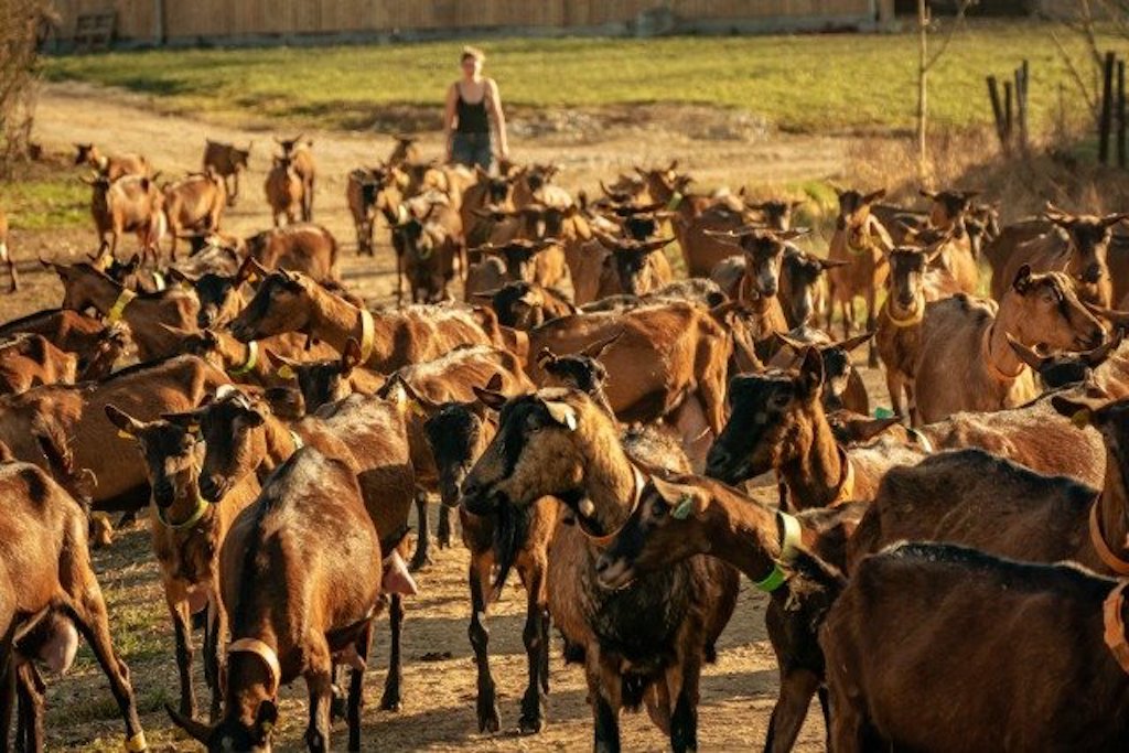 Les Chalets de Sancerre